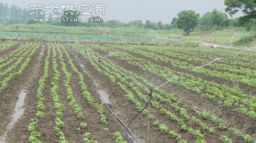 湖北农业滴灌系统产品 欣农科技 湖北农业滴灌系统产品多少钱图片